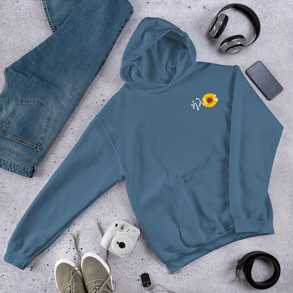 ήλιoς (little) Hoodie